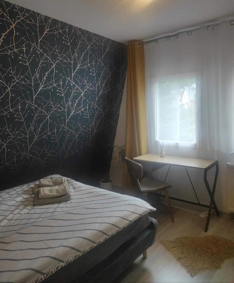 Appartement Sleepstation Karkonosze à Karpacz Extérieur photo